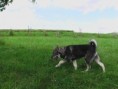 /album/abigail-jako-stene/imga0651-jpg1/